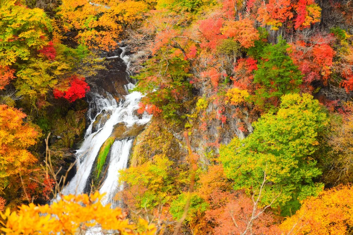 Waterval tussen het herfstloof in het Nationaal Park Nikko
