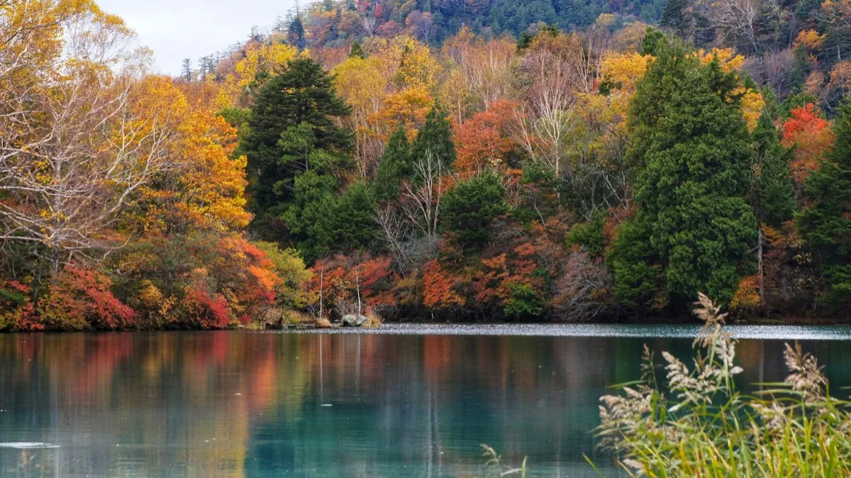 Meer omringd door bos met herfstkleuren in Nikko